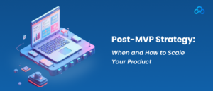 Custom MVP Software Development for Sustainable Growth