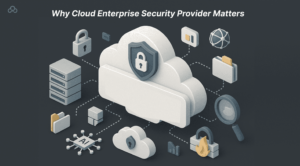 Why Cloud Enterprise Security Provider Matters